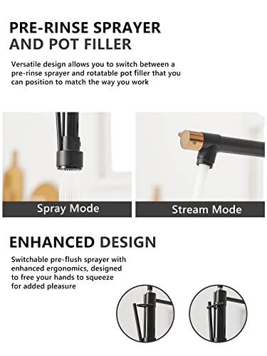 A|M Aquae Black Faucet Kitchen, Commercial Modern Single Handle Kitchen Faucet with Pull Down Sprayer