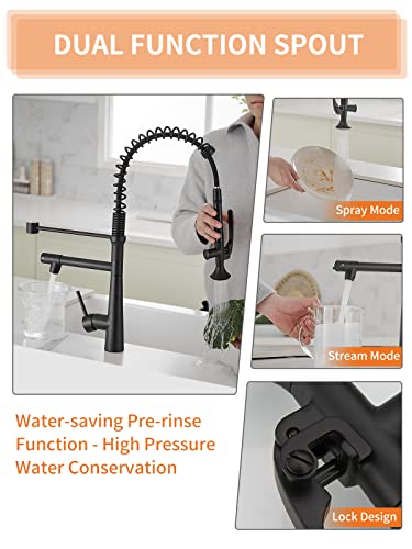A|M Aquae Kitchen Faucet Black,Black and Gold Kitchen Faucet Commercial Style Single Handle Kitchen Faucets with Pull Down Sprayer