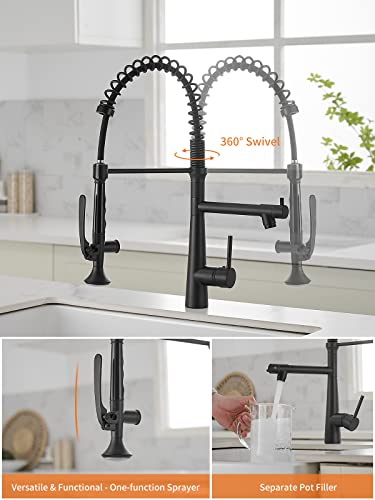 A|M Aquae Kitchen Faucet Black,Black and Gold Kitchen Faucet Commercial Style Single Handle Kitchen Faucets with Pull Down Sprayer
