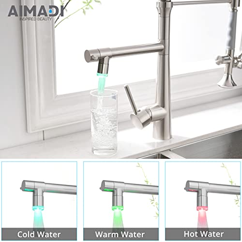 A|M Aquae Kitchen Faucet Black,Black and Gold Kitchen Faucet Commercial Style Single Handle Kitchen Faucets with Pull Down Sprayer