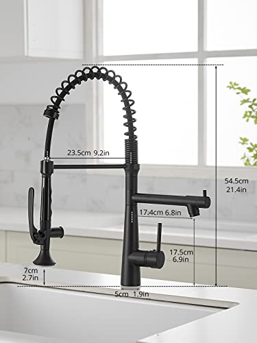 A|M Aquae Kitchen Faucet Black,Black and Gold Kitchen Faucet Commercial Style Single Handle Kitchen Faucets with Pull Down Sprayer