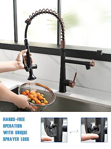 A|M Aquae Kitchen Faucet Black,Black and Gold Kitchen Faucet Commercial Style Single Handle Kitchen Faucets with Pull Down Sprayer