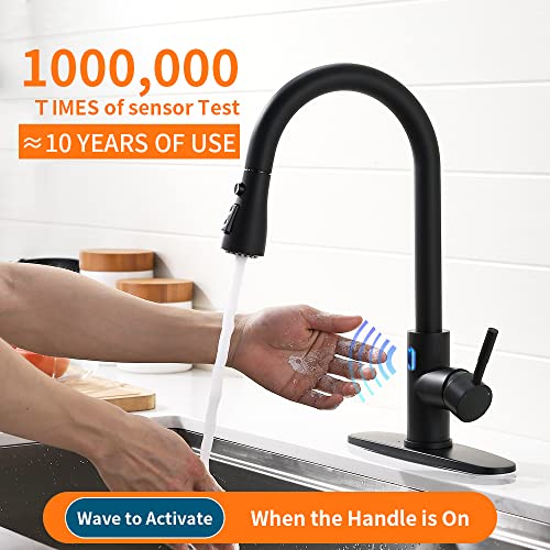 A|M Aquae Black Kitchen Faucets with Pull Down Sprayer Kitchen Sink Faucet with Pull Out Sprayer Single Hole Deck Mount Single Handle Stainless Steel Grifos De Cocina 866068R