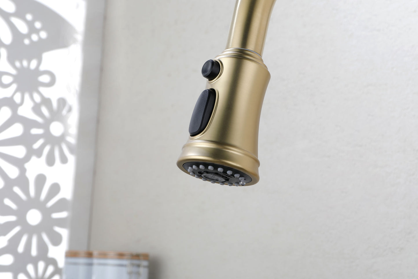 A|M Aquae Kitchen Faucet with Pull Down Sprayer