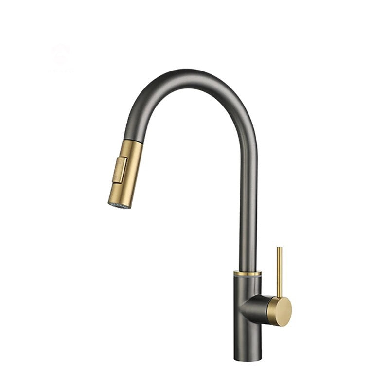 A|M Aquae Gunmetal and Gold Touch Kitchen Faucet with Pull Down Sprayer