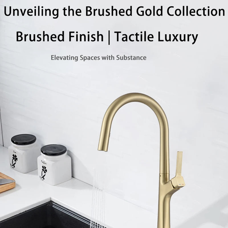 AvaMalis A|M Aquae American Single-handle Pull-out Kitchen Sink Faucet, Brass Deck Installed with Brushed Gold Single-hole Sink Blender