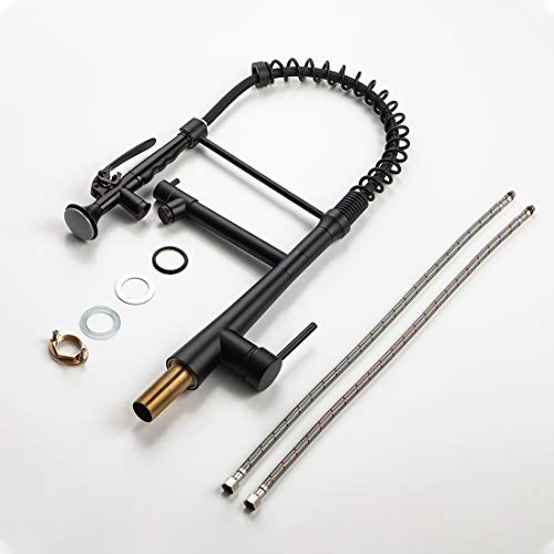 A|M Aquae Kitchen Faucet Black,Black and Gold Kitchen Faucet Commercial Style Single Handle Kitchen Faucets with Pull Down Sprayer