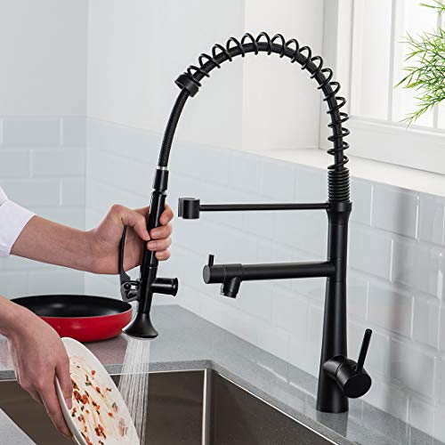 A|M Aquae Kitchen Faucet Black,Black and Gold Kitchen Faucet Commercial Style Single Handle Kitchen Faucets with Pull Down Sprayer