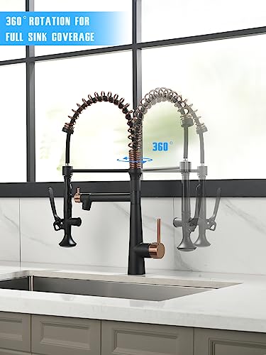 A|M Aquae Kitchen Faucet Black,Black and Gold Kitchen Faucet Commercial Style Single Handle Kitchen Faucets with Pull Down Sprayer