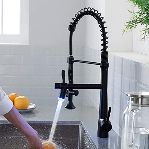 A|M Aquae Kitchen Faucet Black,Black and Gold Kitchen Faucet Commercial Style Single Handle Kitchen Faucets with Pull Down Sprayer