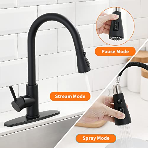 A|M Aquae Black Kitchen Faucets with Pull Down Sprayer Kitchen Sink Faucet with Pull Out Sprayer Single Hole Deck Mount Single Handle Stainless Steel Grifos De Cocina 866068R