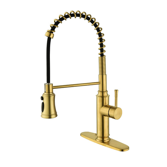 AvaMalis A|M Aquae Pull down Single Handle Spring Kitchen Faucet