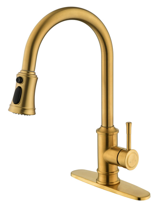 A|M Aquae Kitchen Faucet with Pull Down Sprayer