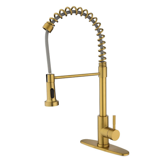AvaMalis A|M Aquae Pull down Single Handle Spring Kitchen Faucet